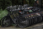 Fahrräder, Münster, 2015